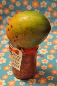 Parrot Head Spicy Salsa