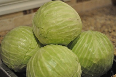 Heads of Ontario Cabbage