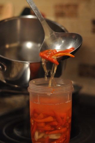 Put Chilis in Blender