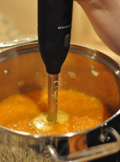 Immersion Blender