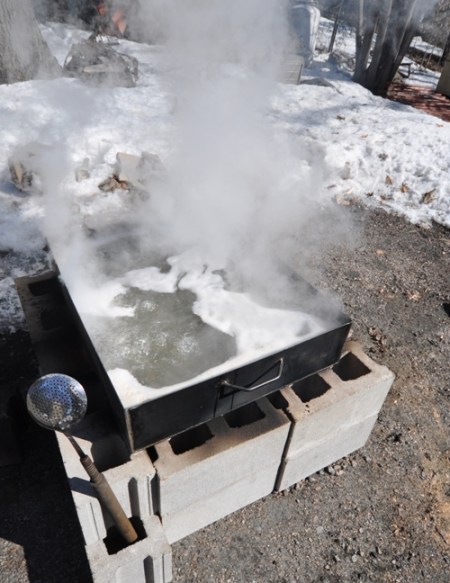 Boiling the First Batch of Sap