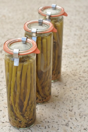 Pickled Asparagaus