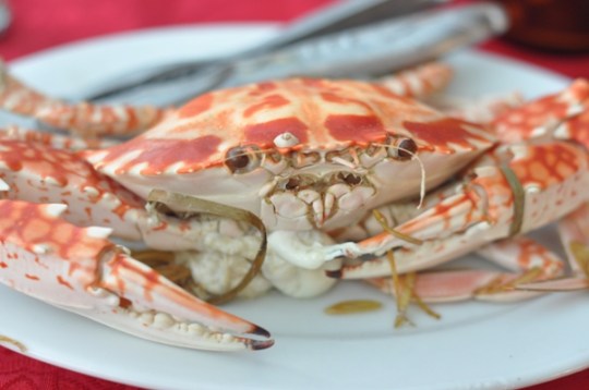 He looks angry ~ I don't blame him