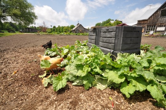 Beautiful Spring Day