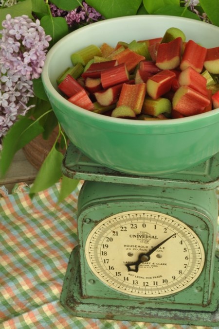 Weighing Rhubarb
