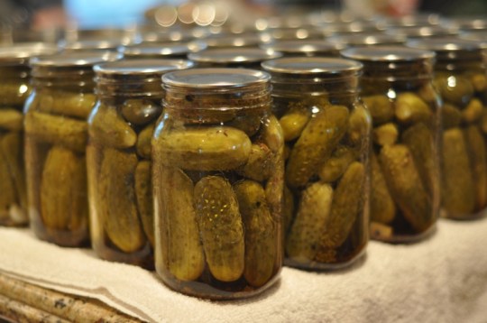 Finished Pickles