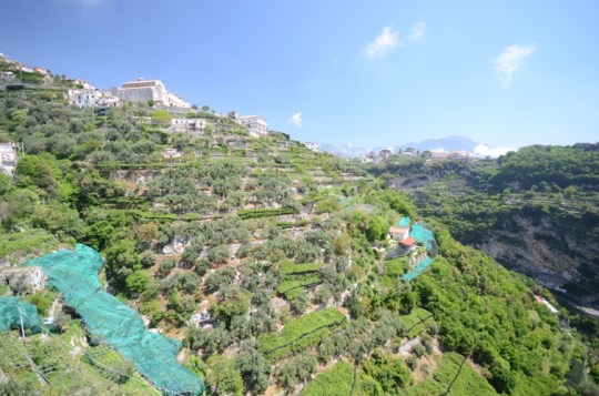 Terraces Line the Hills